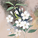 Seiji Yoshimura Gallery